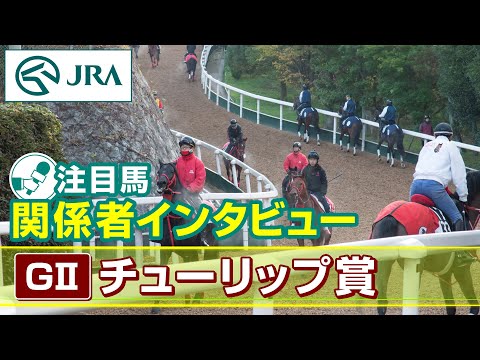 【注目馬 関係者インタビュー】2025年 チューリップ賞|JRA公式