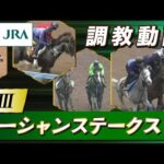 【調教動画】2025年 オーシャンステークス|JRA公式