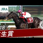2018年 弥生賞(GⅡ) | ダノンプレミアム | JRA公式