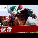 2017年 金鯱賞(GⅡ) | ヤマカツエース | JRA公式