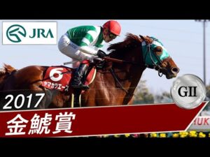 2017年 金鯱賞（GⅡ） | ヤマカツエース | JRA公式