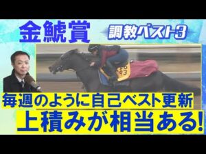 【３連覇へ暗雲…！？プログノーシスが圏外？】ホウオウビスケッツ、デシエルト、ラヴェル・・・競馬エイト・高橋賢司トラックマンの調教解説【金鯱賞】