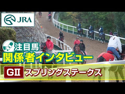 【注目馬 関係者インタビュー】2025年 スプリングステークスJRA公式