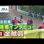 【注目馬 関係者インタビュー】2025年 金鯱賞|JRA公式