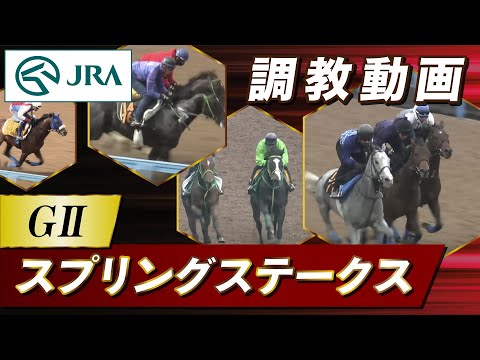 【調教動画】2025年 スプリングステークス|JRA公式