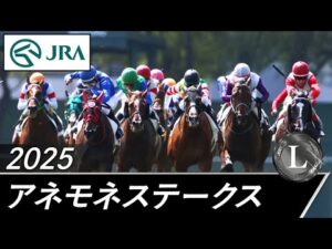 2025年 アネモネステークス（L） | JRA公式