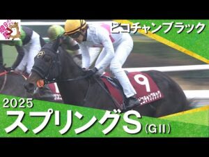 2025年 スプリングステークス (ＧⅡ) ピコチャンブラック【カンテレ公式】