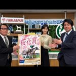 ダート競馬JAPAN|第93回 ネクストスター東日本 桜花賞 展望|NAR公式