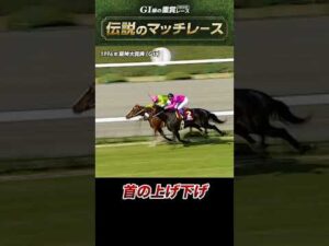 【伝説のマッチレース】1996年阪神大賞典 #ナリタブライアン #マヤノトップガン #shorts  | JRA公式