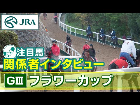 【注目馬 関係者インタビュー】2025年 フラワーカップ|JRA公式