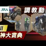 【調教動画】2025年 阪神大賞典|JRA公式