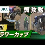 【調教動画】2025年 フラワーカップ|JRA公式