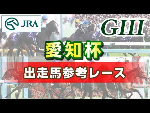 【参考レース】2025年 愛知杯|JRA公式