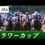 2025年 フラワーカップ(GⅢ) | 第39回 | JRA公式