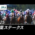 2025年 若葉ステークス(L) | JRA公式