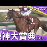 2025年 阪神大賞典 (ＧⅡ) サンライズアース　実況：川島壮雄【カンテレ公式】