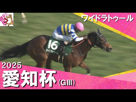 2025年 愛知杯 (ＧⅢ) ワイドラトゥール【カンテレ公式】