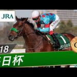 2018年 毎日杯（GⅢ） | ブラストワンピース | JRA公式
