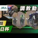 【調教動画】2025年 毎日杯|JRA公式