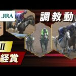 【調教動画】2025年 日経賞|JRA公式