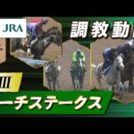 【調教動画】2025年 マーチステークス|JRA公式