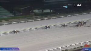 【京浜盃2025】結果・動画/ナチュラルライズが独走V