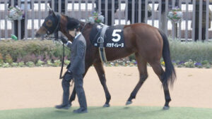 【競馬予想】[2]第39回フラワーカップ(GⅢ) /2025