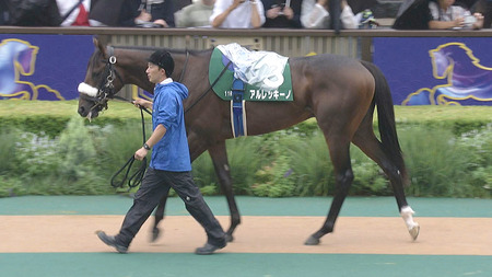 【3歳1勝クラス】アルレッキーノとは何だったのか