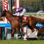 【阪神大賞典】サンライズアースが6馬身差圧勝!重賞初制覇