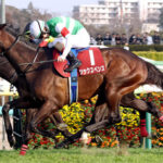 【中山記念】シックスペンスがゴール前でハナ差交わしレコード!重賞3勝目