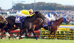 煽り抜きでダイワスカーレットとウオッカって本当はどっちが強かったの？