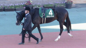 【毎日杯】リラエンブレム、キングノジョーwww