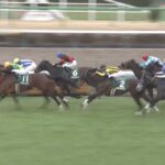 【中山牝馬ステークス2025】結果・動画/シランケドが接戦を制す