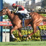 2戦2勝のデンクマールは心房細動のためスプリングS回避