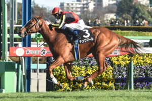 ３歳世代最強馬デンクマールの一週前追い切りがヤバすぎ