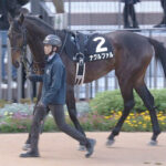 【競馬予想】[2]第62回弥生賞ディープインパクト記念(GII) /2025