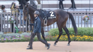 【競馬予想】[2]第62回弥生賞ディープインパクト記念(GII) /2025