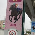 大阪杯に足が5本の馬が出走する件について
