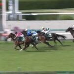【チャーチルダウンズカップ2025】出走予定馬・騎手/名称新たに