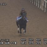 【金鯱賞2025】追い切り/抜群の動きを見せたのは