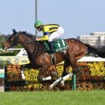 【フラワーC】5番人気レーゼドラマが快勝!重賞初制覇
