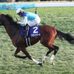 【朗報】3歳最強馬アドマイヤズームが馬也でラスト1F10.9