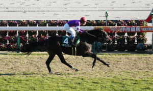 【競馬予想】 第72回毎日杯(GⅢ) /2025