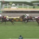 【競馬】スプリングSは石橋騎乗のピコチャンブラックがV