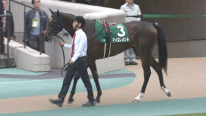 【競馬予想】第32回チューリップ賞(GⅡ) /2025