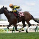 【金鯱賞】プログノーシス終了のお知らせ