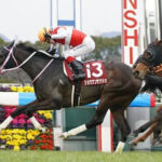【フィリーズレビュー】波乱!ショウナンザナドゥが差し切りV!重賞初制覇