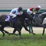 【競馬予想】[1]第55回高松宮記念(GⅠ) /2025