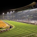 ドバイWCデーに日本馬25頭が出走、4競走の馬券を発売決定
