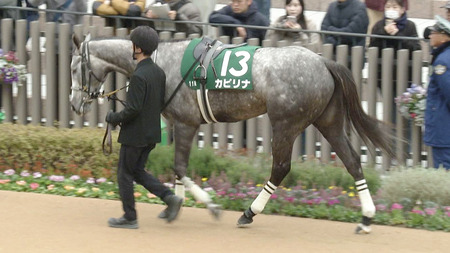 【競馬予想】第62回愛知杯(GⅢ) /2025